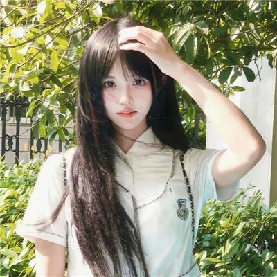 菊花村的那些事